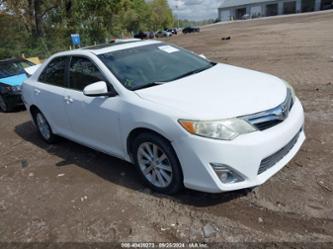 TOYOTA CAMRY XLE