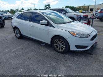 FORD FOCUS SE