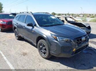 SUBARU OUTBACK WILDERNESS