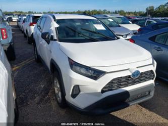 TOYOTA RAV4 HYBRID LE