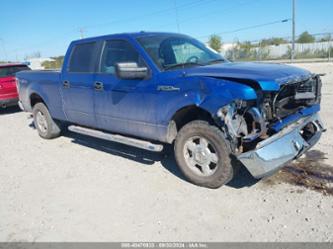 FORD F-150 XLT