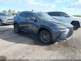 LEXUS NX 250