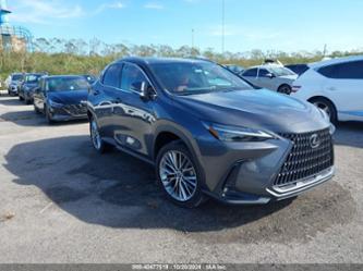 LEXUS NX 350H LUXURY