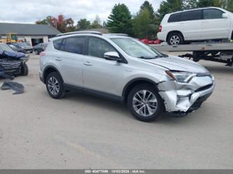 TOYOTA RAV4 HYBRID XLE