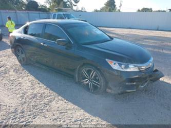 HONDA ACCORD SPORT SE