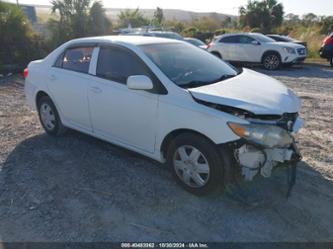 TOYOTA COROLLA L