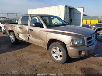 DODGE DAKOTA BIGHORN/LONESTAR