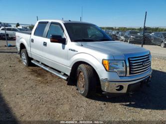 FORD F-150 XLT