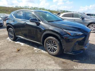 LEXUS NX 250 PREMIUM