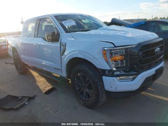 FORD F-150 XLT