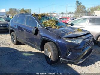 TOYOTA RAV4 HYBRID XSE