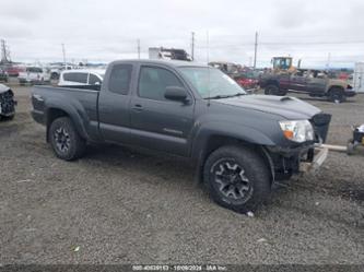 TOYOTA TACOMA BASE V6