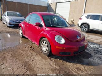 VOLKSWAGEN BEETLE 2.5L