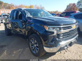 CHEVROLET SILVERADO 1500 4WD STANDARD BED LT