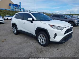 TOYOTA RAV4 HYBRID XLE