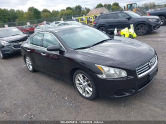 NISSAN MAXIMA 3.5 S