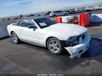 FORD MUSTANG V6