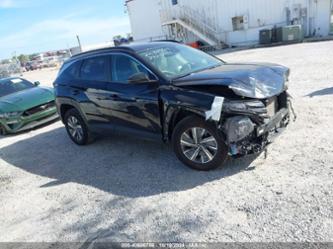 HYUNDAI TUCSON BLUE