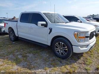 FORD F-150 XL