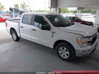 FORD F-150 XLT