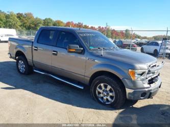 FORD F-150 XLT