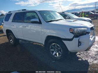 TOYOTA 4RUNNER TRD OFF ROAD PREMIUM