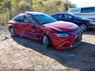 LEXUS ES 350 LUXURY