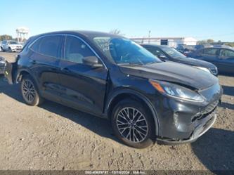 FORD ESCAPE HYBRID SE PLUG-IN HYBRID