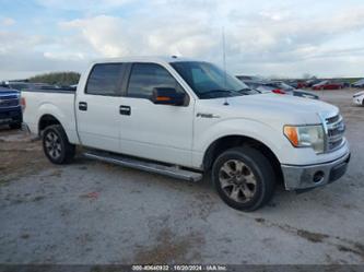 FORD F-150 XLT