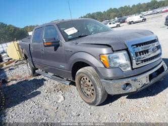 FORD F-150 XLT