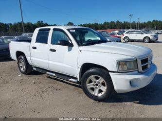 DODGE DAKOTA BIGHORN/LONESTAR