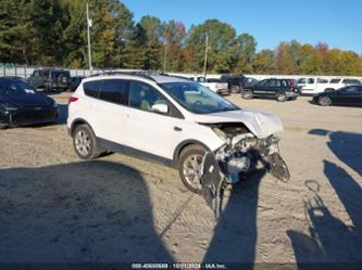 FORD ESCAPE SEL