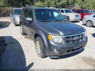 FORD ESCAPE XLT