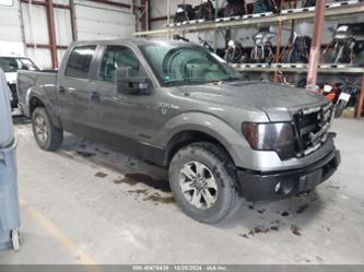 FORD F-150 XLT