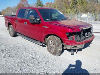 FORD F-150 XLT