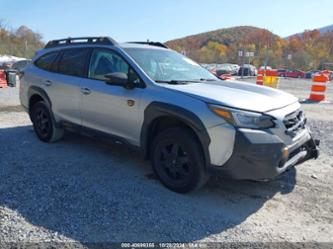 SUBARU OUTBACK WILDERNESS