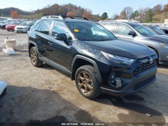 TOYOTA RAV4 HYBRID WOODLAND EDITION