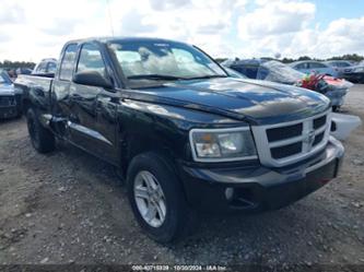 DODGE DAKOTA BIGHORN/LONESTAR