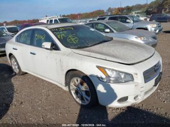 NISSAN MAXIMA S/SV