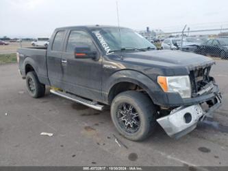 FORD F-150 XLT