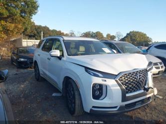 HYUNDAI PALISADE CALLIGRAPHY