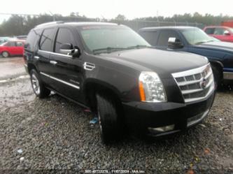 CADILLAC ESCALADE PLATINUM EDITION