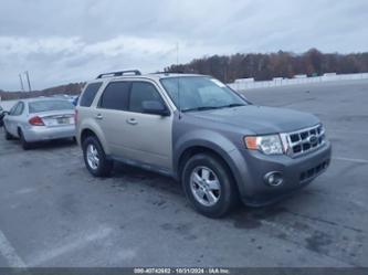 FORD ESCAPE XLT