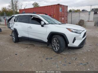 TOYOTA RAV4 XLE PREMIUM