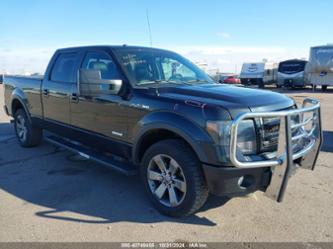 FORD F-150 FX4