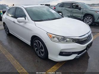 HONDA ACCORD EX-L V-6