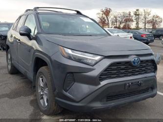 TOYOTA RAV4 HYBRID XLE