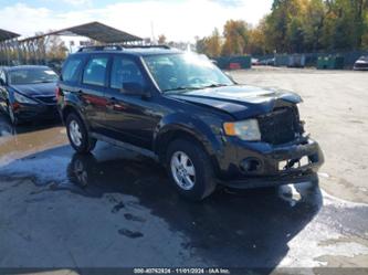 FORD ESCAPE XLS