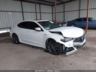 ACURA TLX A-SPEC/A-SPEC W/RED LEATHER