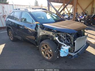 TOYOTA RAV4 HYBRID WOODLAND EDITION